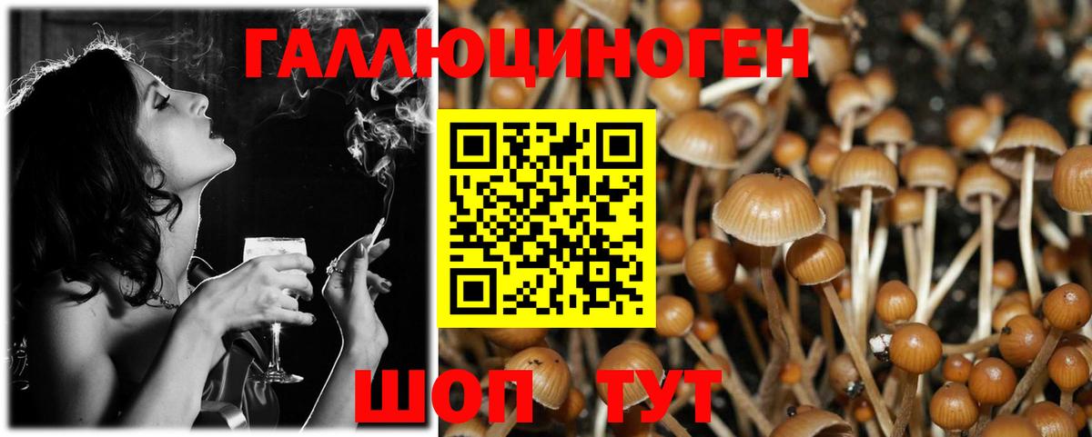 Галлюциногенные грибы Magic Shrooms  Вход с VPN  купить наркоту  Сосновоборск 