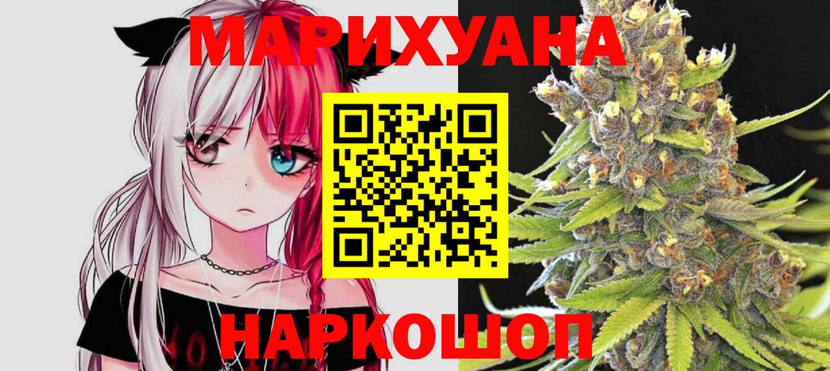Каннабис сатива Сосновоборск